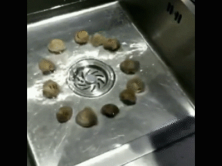 1561352446129749.gif 微信圖片_20190624085006.gif